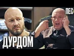 туристы потеряли стыд в Сочи 🙊
